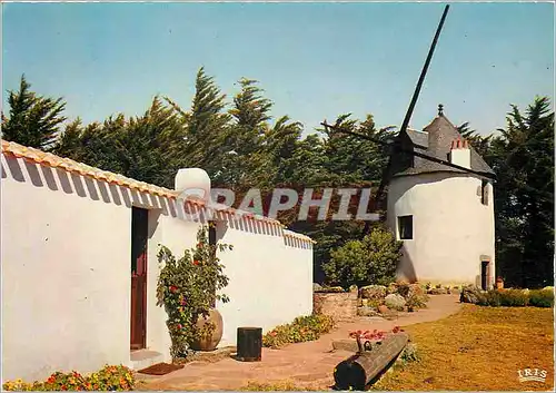 Cartes postales moderne Le Moulin du Calvaire L'Ile d'Yeu