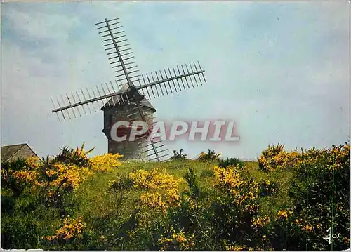 Cartes postales moderne Presqu'ile de Guerande Le Moulin du Diable