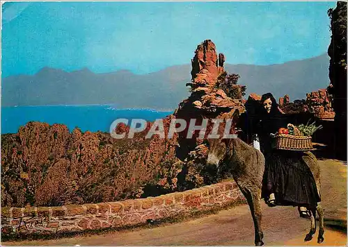 Moderne Karte Ane Mule Corse Folklore