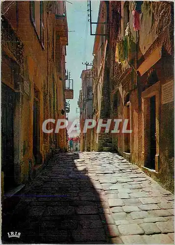 Cartes postales moderne Bonifacio La rue longue riche en evenements historiques