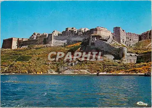 Cartes postales moderne Corse Ile de beaute Paradis d'ete Bonifacio La Citadelle