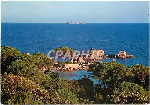 Cartes postales moderne Corse Ile de Beaute Souvenir de Porto Vecchio