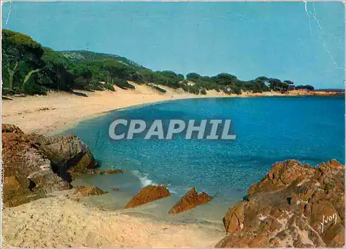 Cartes postales moderne La Corse oasis de Beaute
