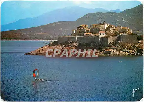 Cartes postales moderne Calvi Corse La Silhouette fortifiee de la Citadelle plantee sur son promontoire