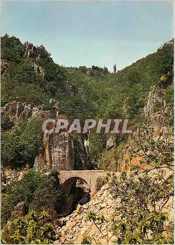 Cartes postales moderne Le Massif de l'Aigoual Gard La Cascade et le Pont du Saut de la Chevre entre le Vican et l'Esper