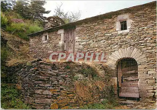 Cartes postales moderne Dans le Massif des Cevennes