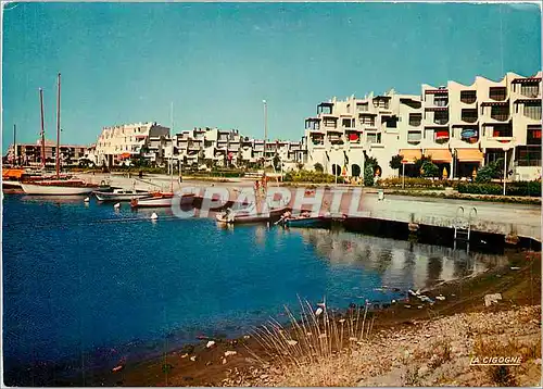 Cartes postales moderne Port Camarque Gard Le Port et les Terrasses de l'Espignette
