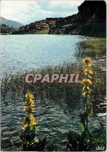 Cartes postales moderne La Cerdagne Francaise Les Lacs du Carlitte Lac de Pradeille