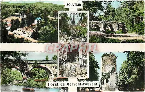 Cartes postales moderne Souvenir Foret de Mervent Vouvant