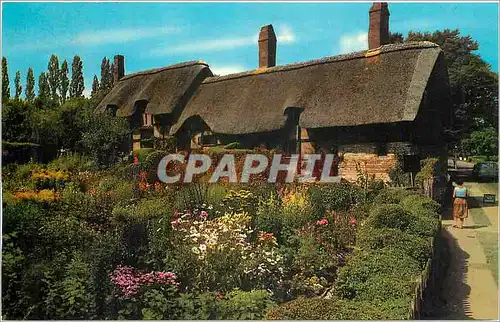 Cartes postales moderne Anne Hathaway Cottage Stratford Upon Avon