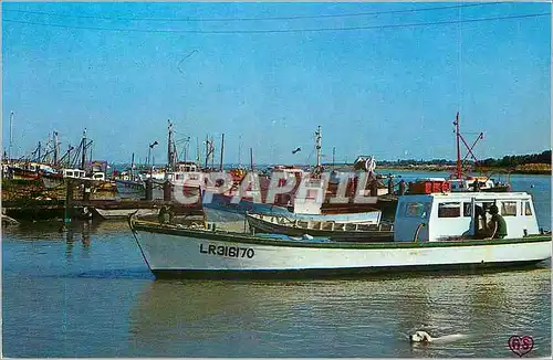 Cartes postales moderne L'Aiguillon sur Mer Vendee Le Port Bateau