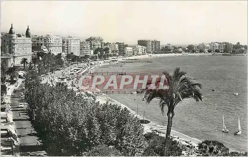 Cartes postales moderne Cannes La Plage La Croisette et les grands hotels