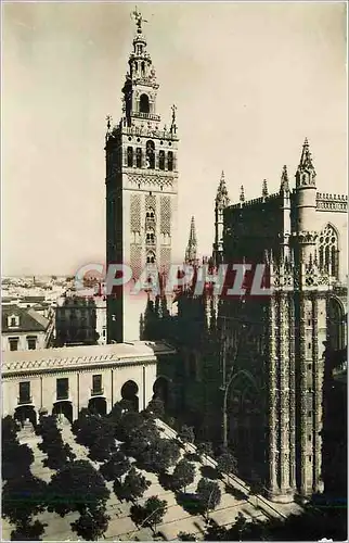 Moderne Karte Sevilla Orange Crees Court and Cathedral