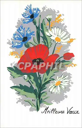 Cartes postales moderne Meilleurs Voeux