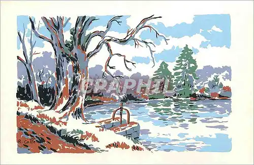 Cartes postales moderne Arbres