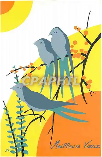 Cartes postales moderne Meilleurs Voeux