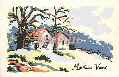 Cartes postales moderne Meilleurs Voeux