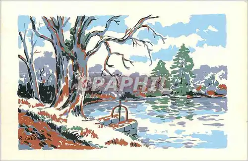 Cartes postales moderne Arbres