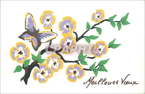 Cartes postales moderne Meilleurs Voeux