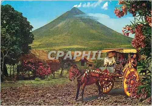 Cartes postales moderne The Philippine Calesa is a Horse drawn carriage which dates back from the Spanish