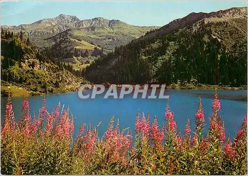 Cartes postales moderne Les Eaux bleues du Lac
