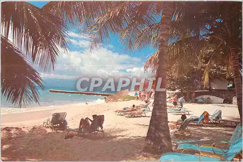 Cartes postales moderne Guadeloupe Auberge de la Vieille Tour La plage de l'Hotel