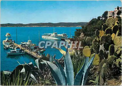 Cartes postales moderne La Cote d'Azur Ile de Port Cros Var Bateaux