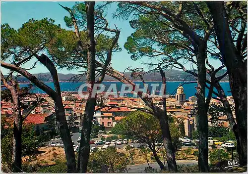 Cartes postales moderne Saint Tropez Var Vue generale prise de la Citadelle