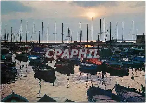 Cartes postales moderne Bateaux de peche