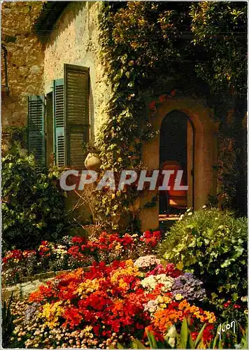 Cartes postales moderne La Cote d'Azur miracle de la nature Jardin fleuri de la Cote d'Azur
