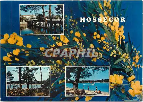 Cartes postales moderne Hossegor Le lac marin