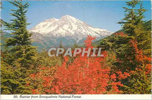 Cartes postales moderne Mount Rainier National Park Washington State