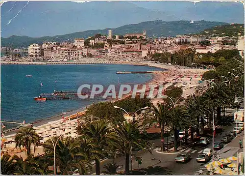 Cartes postales moderne Cannes Vue sur le Suquet au 1er plan les Plages de la Croisette