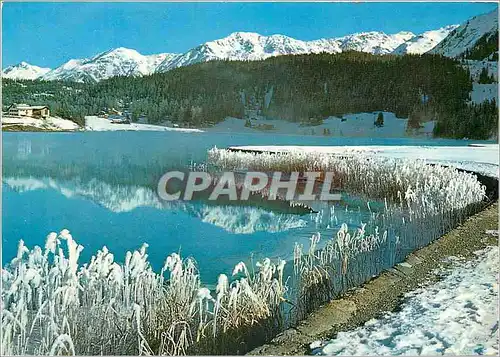 Cartes postales moderne Rauhreif am Davosersee