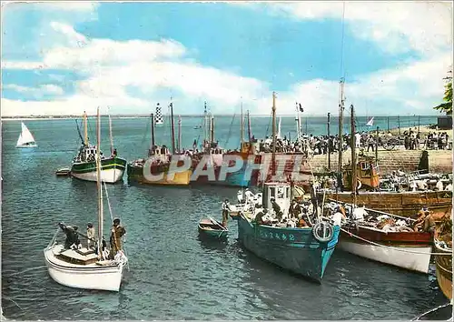 Cartes postales moderne Bretagne Loctudy Le Port Bateaux