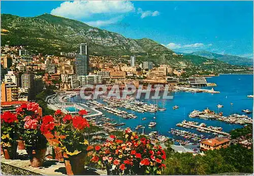 Cartes postales moderne Principaute de Monaco Monte Carlo Vue generale Le Port