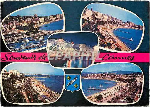 Cartes postales moderne Cannes AM Le Port et le Casino Municipal La Plage de la Croisette et les Palaces