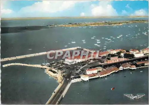 Cartes postales moderne Le Chapus Ch Mme Le Port