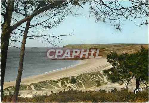 Cartes postales moderne Pleherel Plage C du N La Plage et le Cap Frehel