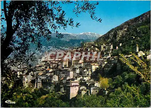 Cartes postales moderne Saorge Alp Mar Vue generale du village medieval
