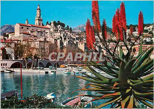 Cartes postales moderne Cote d'Azur Menton Le Port et la Vieille ville