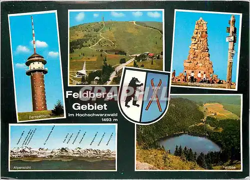 Cartes postales moderne Feldberg Gebiet im Hochschwarzwald