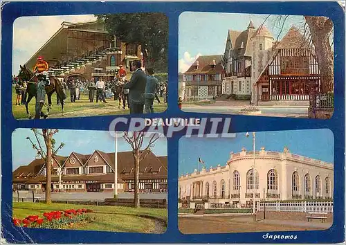 Cartes postales moderne Deauville Calvados L'hippodrome La Mairie La gare Le Casino