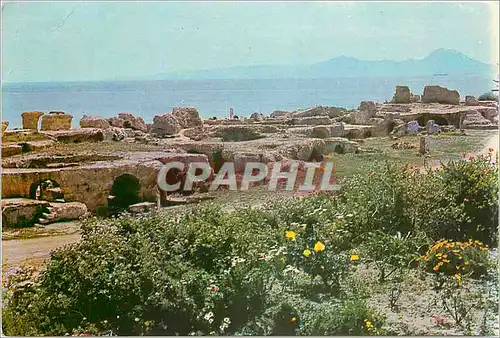 Cartes postales moderne Carthage Les Thermes d'Antonin