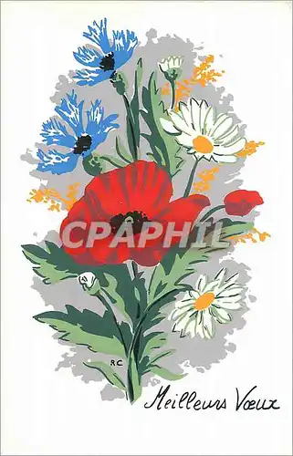 Cartes postales moderne Meilleurs Voeux