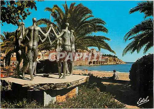 Cartes postales moderne Banyuls sur Mer Pyrenees Orientales La promenade et l'ensemble
