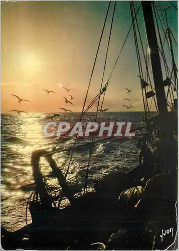 Cartes postales moderne Couleurs et Lumiere de France Peche en Mer