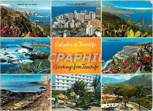 Cartes postales moderne Greetings from Tenerife Puerto de la Cruz