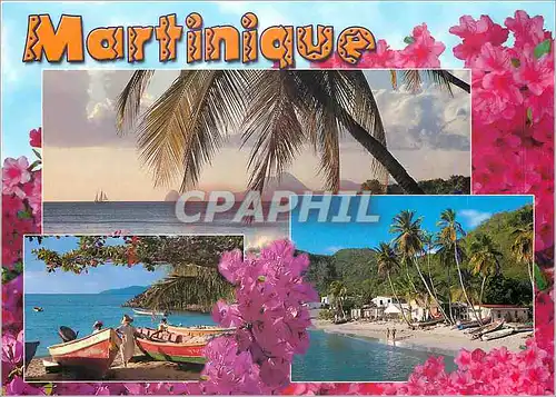 Moderne Karte Martinique Antilles Francaises