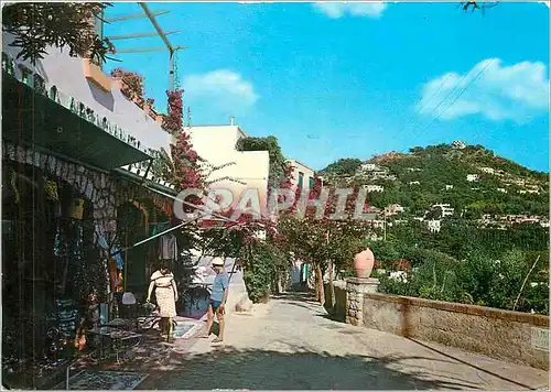 Cartes postales moderne Capri Chemin fourchu aux Jardins d'Auguste et la Chartreuse